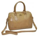Ladies Fashion Handbag Ladies Fashion Handbag